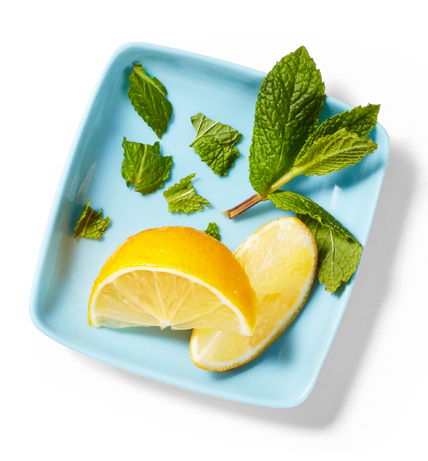 Plate containing 2 lemon wedges and a mint leaf
