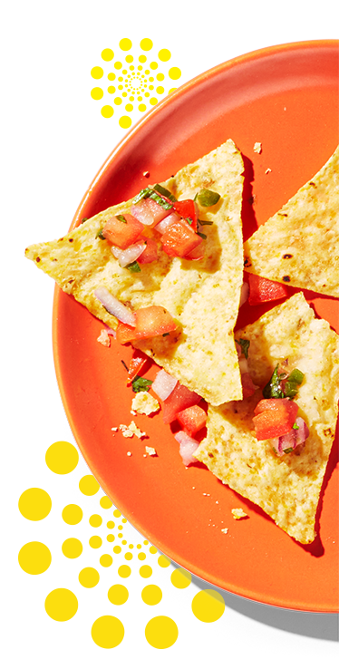A side serving of a few nachos topped with salsa and cheese