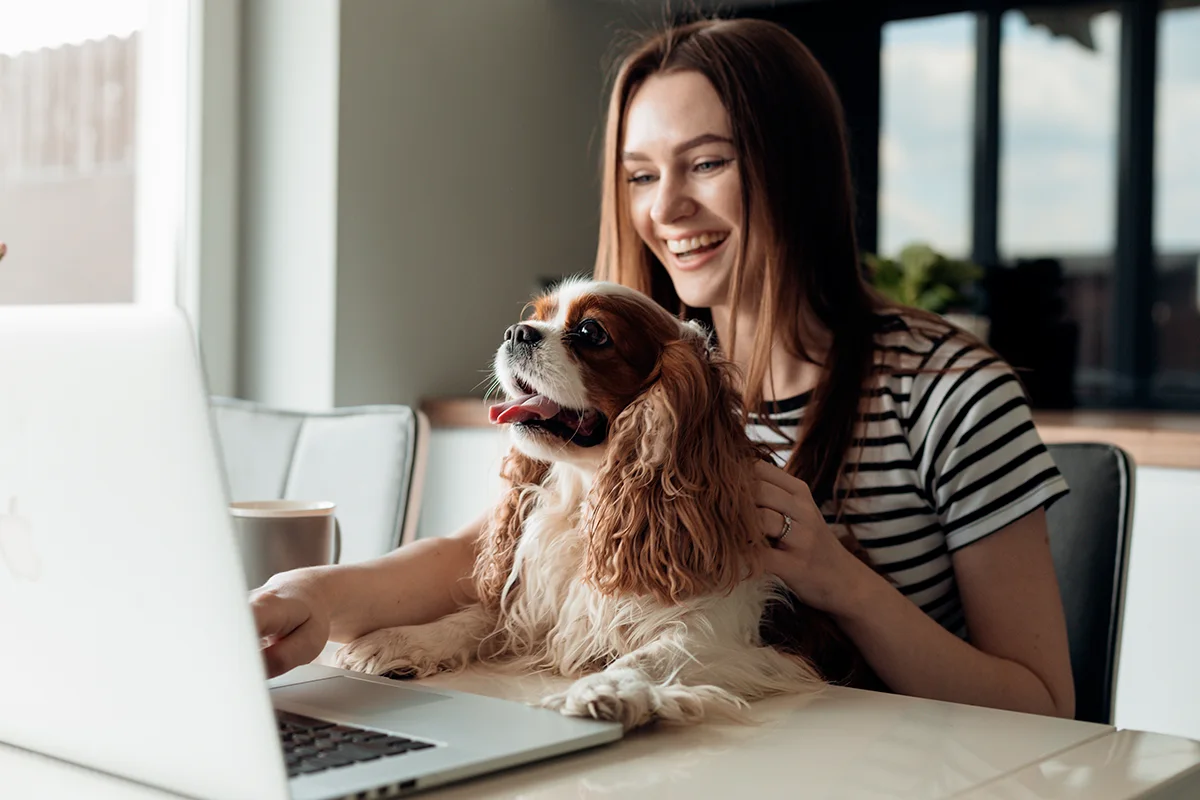 Figo meilleure assurance pour chien