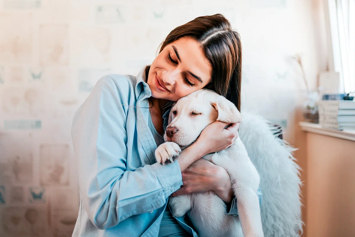 journee-mondiale-chien