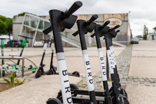 Bird E scooter Micro Mobility