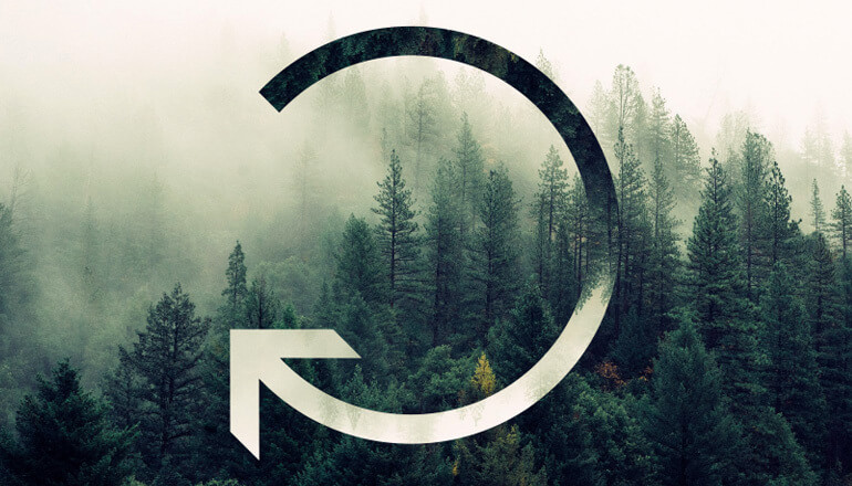 return_initiative_forest.jpeg