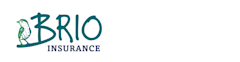 Brio Insurance