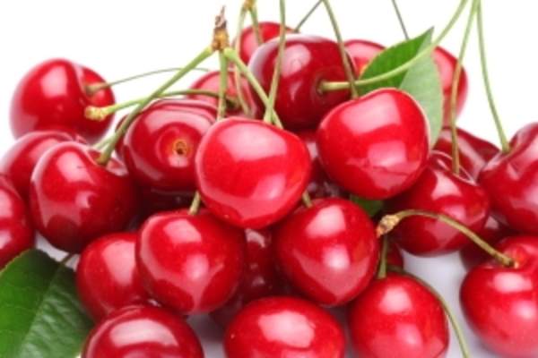 Bunch of fresh cherries.