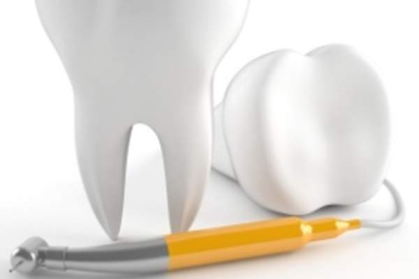 Tooth model and dental instrument.