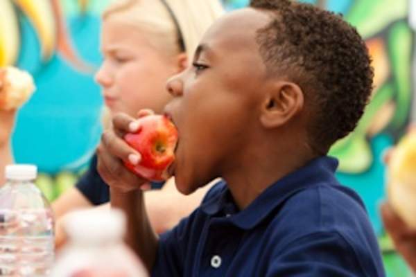 Young boy eating an apple at lunch in school.