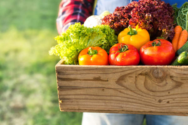 Farmer with box of organic vegetables.