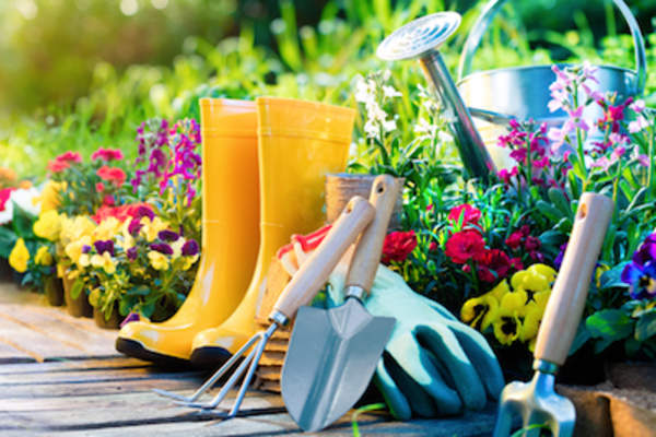 Gardening