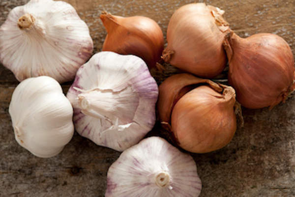 Garlic and onions contain sulfur compounds that increase bad breath