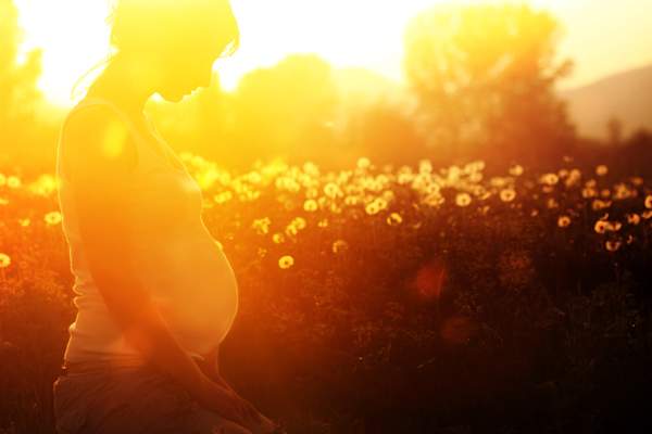 pregnant woman in sunshine image