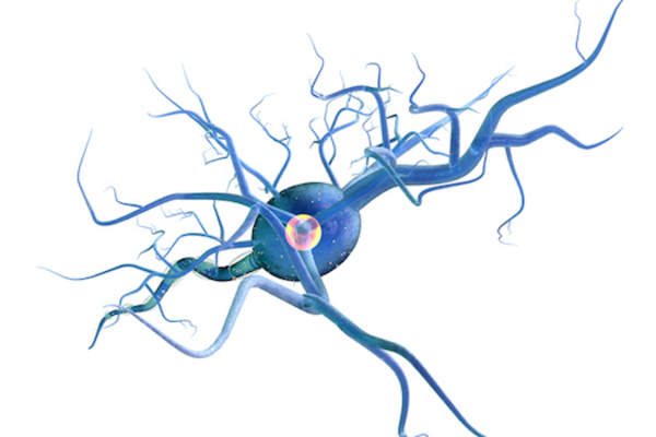 glioblastoma no brain matter