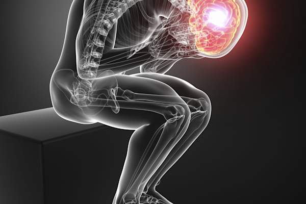 Model of man with brain highlighted.