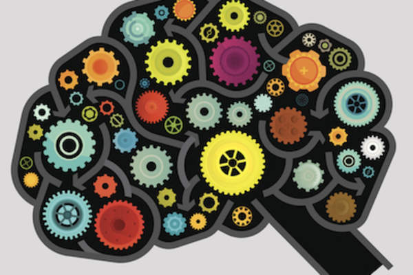 Brain maze with gears.