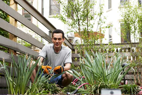 Spending time outside gardening