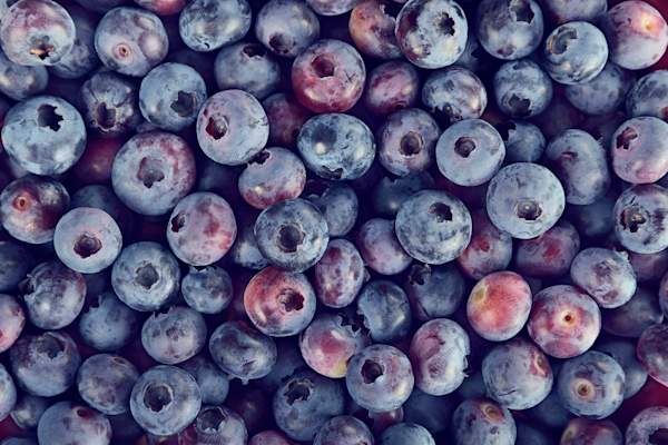 Blueberries.