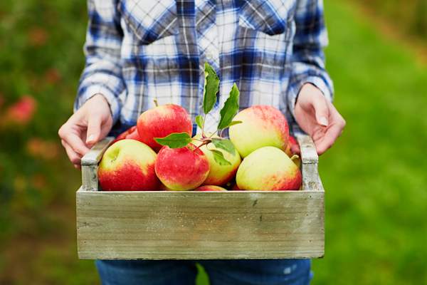 Woman holding a crate of apples.