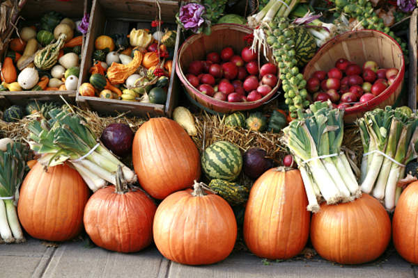Autumn produce.