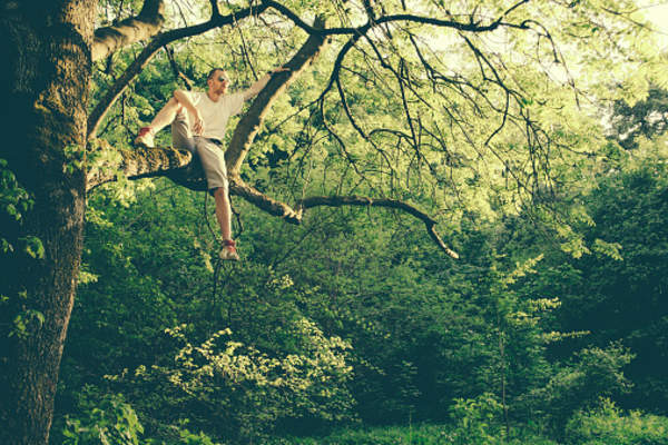 Man up in a tree.