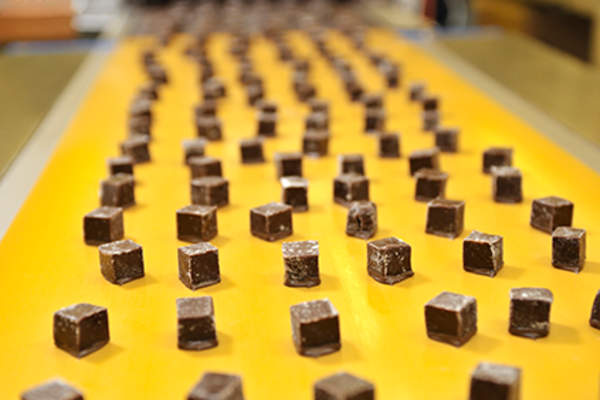 Chocolates on a conveyor belt.