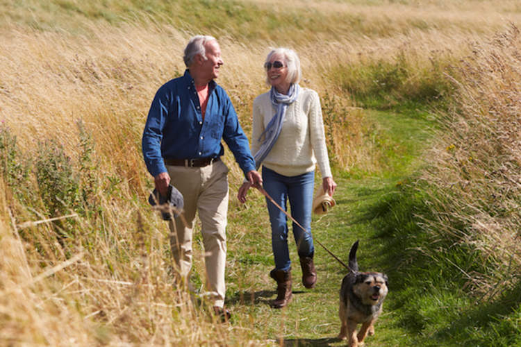 An older couple takes a brisk walk through a field with their dog.
