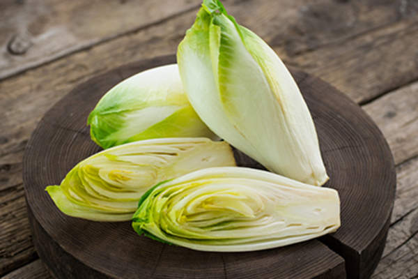Chicory.
