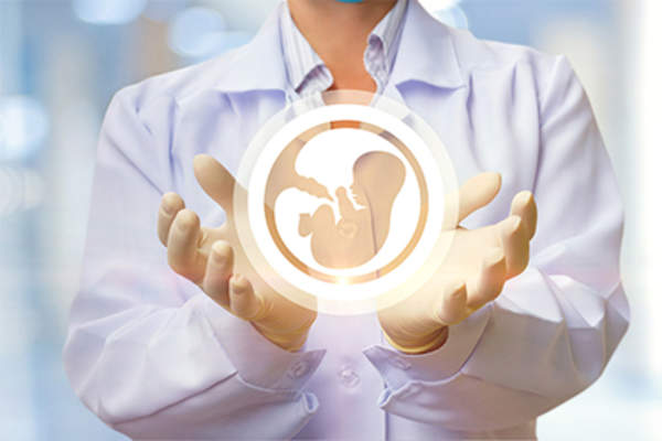 Doctor and human embryo icon.