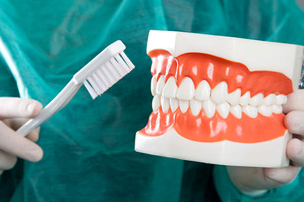 Dentist holding a set of plastic teeth.
