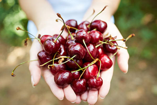 Handful of cherries