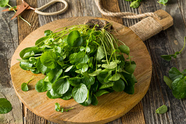 Watercress on a cutting board.
