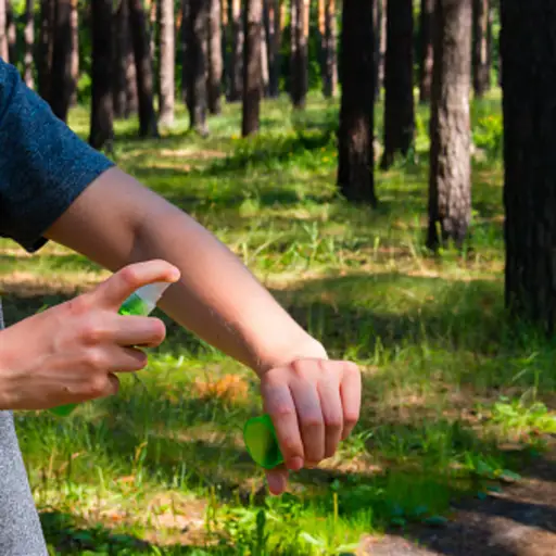 putting on bug spray image