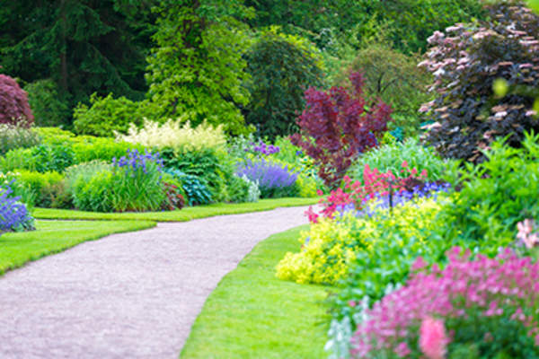 Garden in the park.