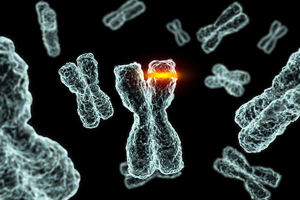 Gene mutation.