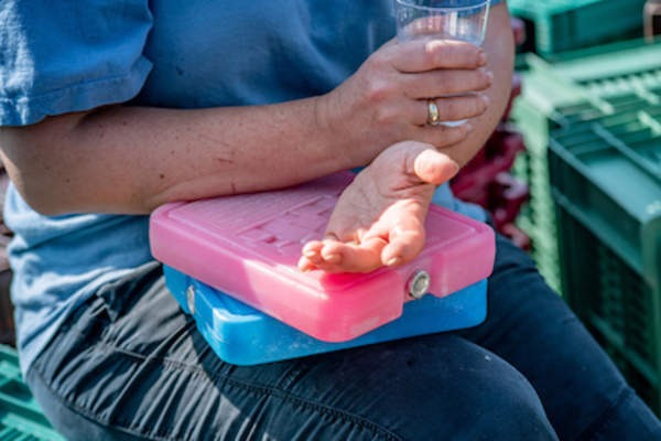 Resting hand and wrists on ice packs.