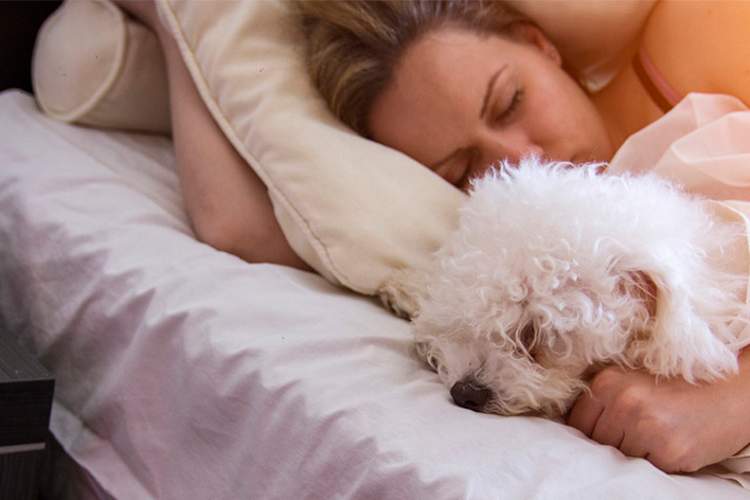Woman and dog sleeping in bed.