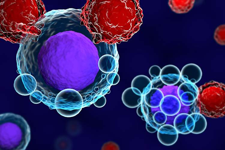 CAR T cell therapy.