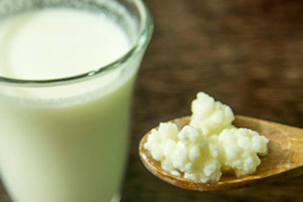 probiotic image