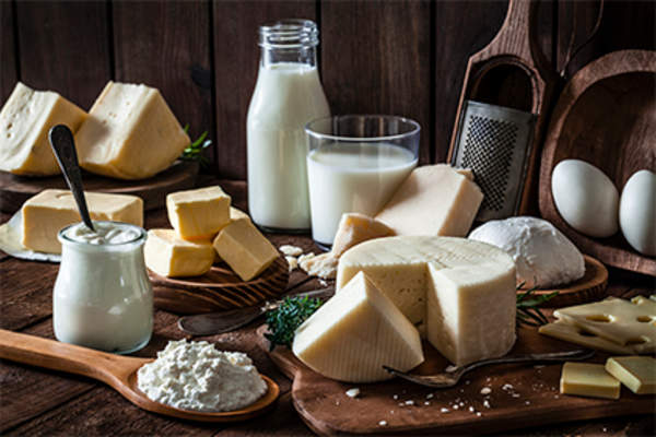 Dairy products, milk, cheese, yogurt.