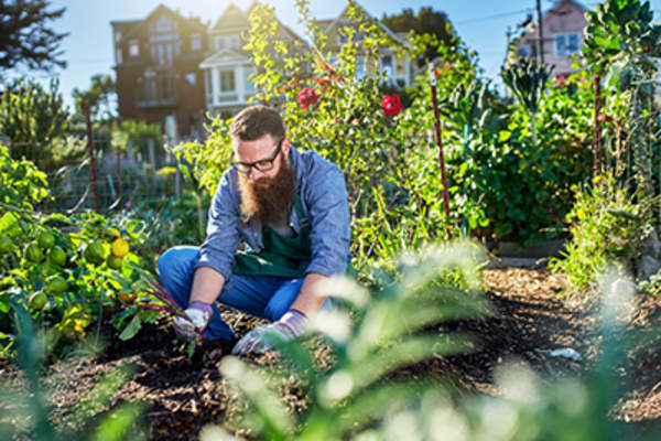 Man tending to his garden outdoors.
