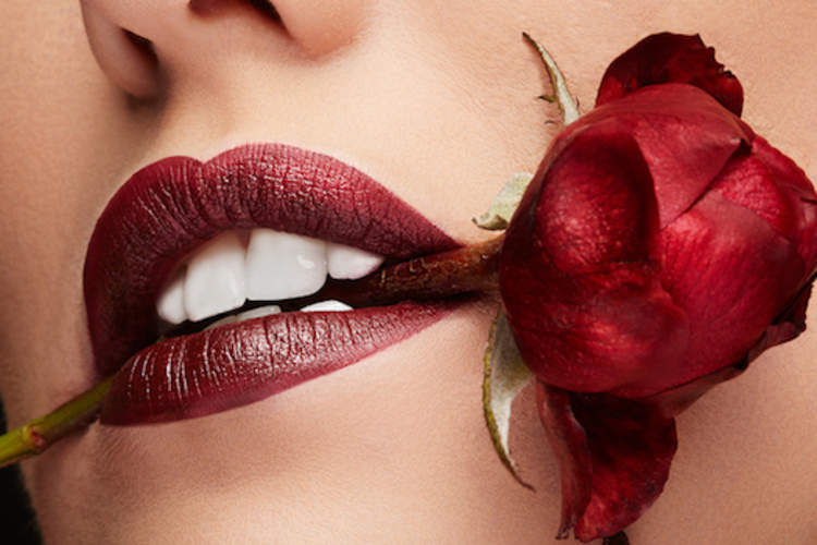 Close up of rose in womans mouth.