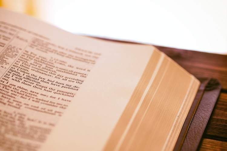 close up of dictionary, selective focus