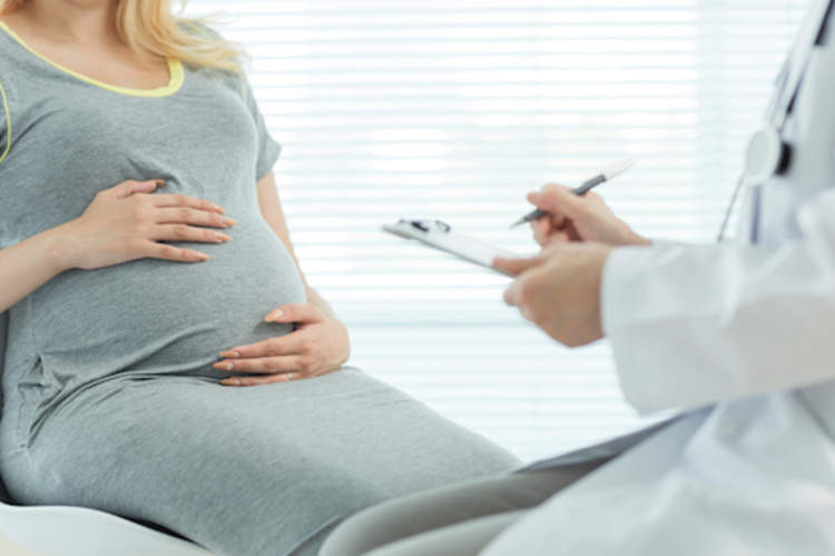 pregnant woman conferring with doctor