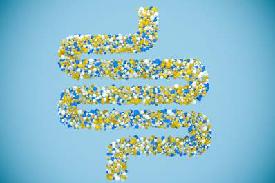 Gut microbiome.