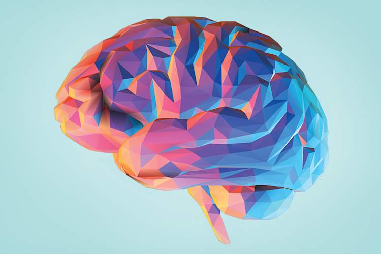 Poly brain