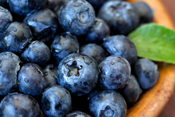 Fresh blueberries with green leaf accent in bowl