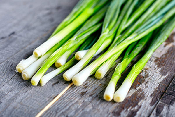 Bunch of fresh green onions