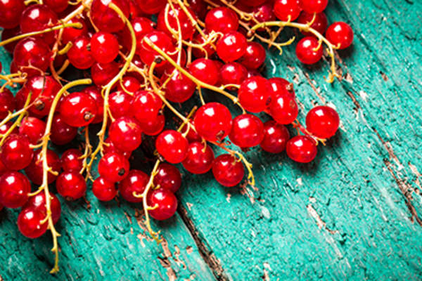 Fresh red currant on wooden table