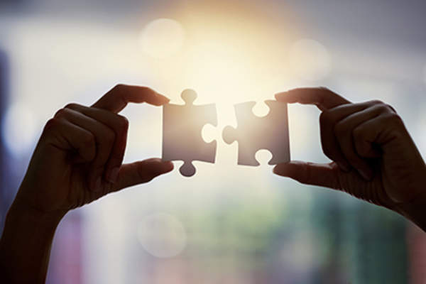 Putting puzzle pieces together to see the big picture.