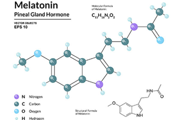 Melatonin hormone chemical breakdown.