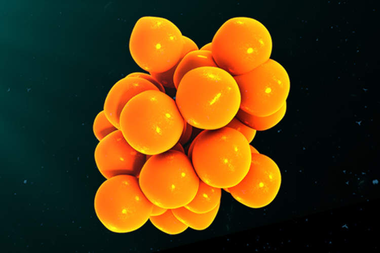Cytokines