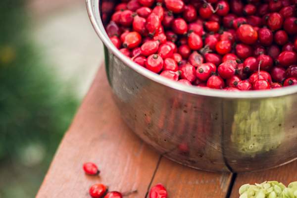 silver bucket full of cranberries